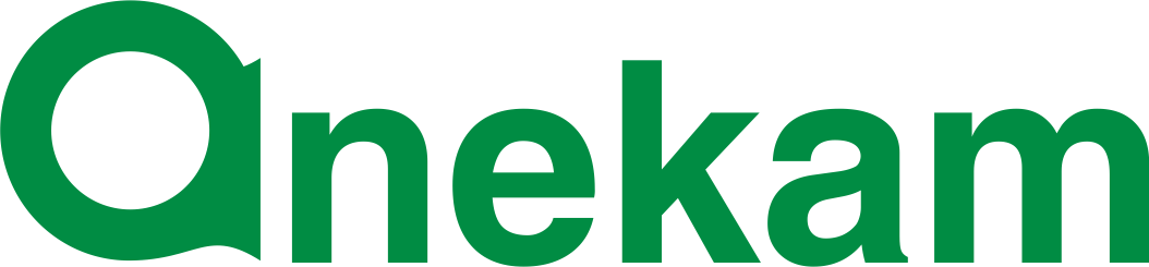 Anekam Revised Logo