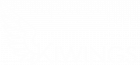 White Kiwings Logo PNG